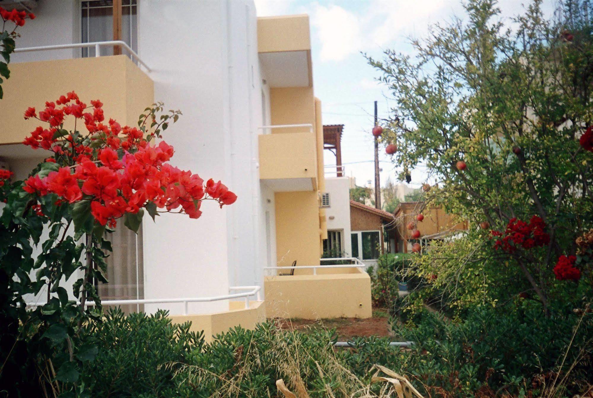 Dimitra Apartments Gouves Bagian luar foto
